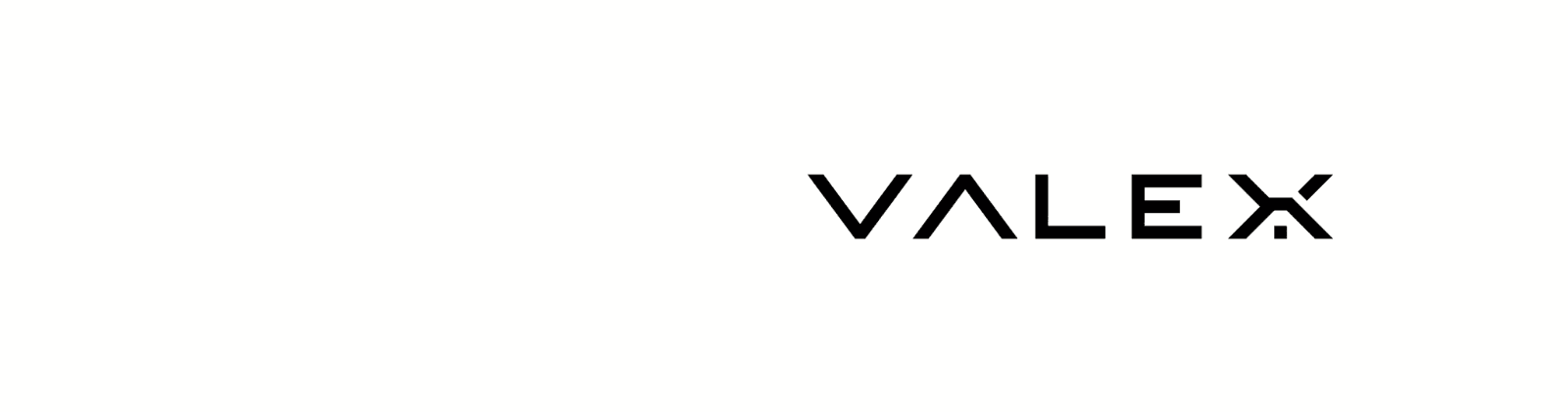Banner de VALEX Group LLC