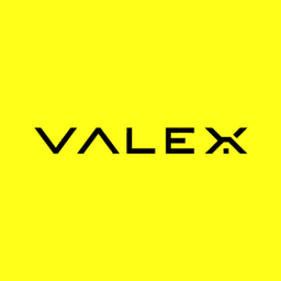 Logo de VALEX Group LLC