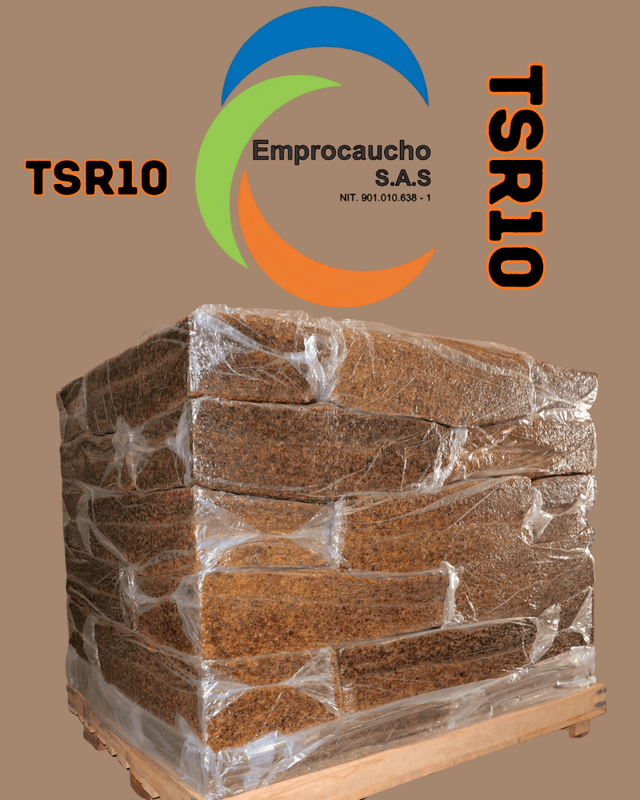 TSR10 imagen 1